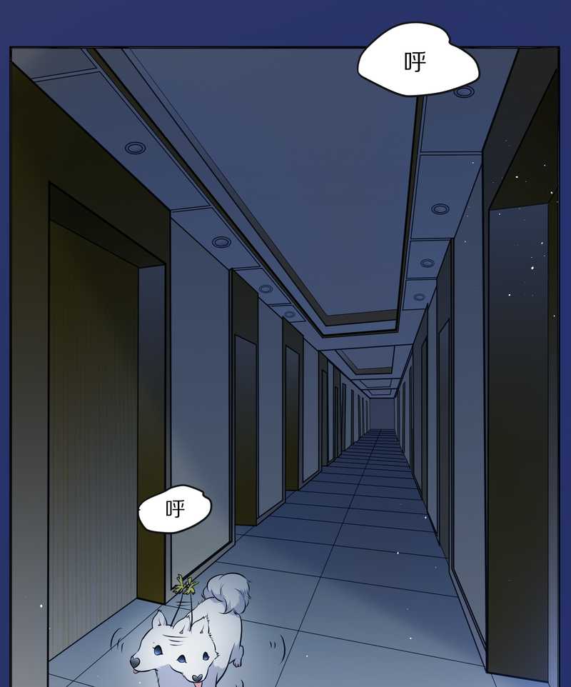 毛球星传说 第66集(1/2)-第66话