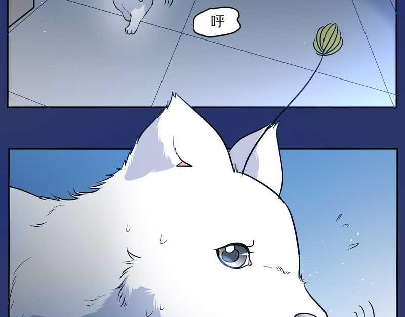 毛球星传说 第66集(1/2)-第66话
