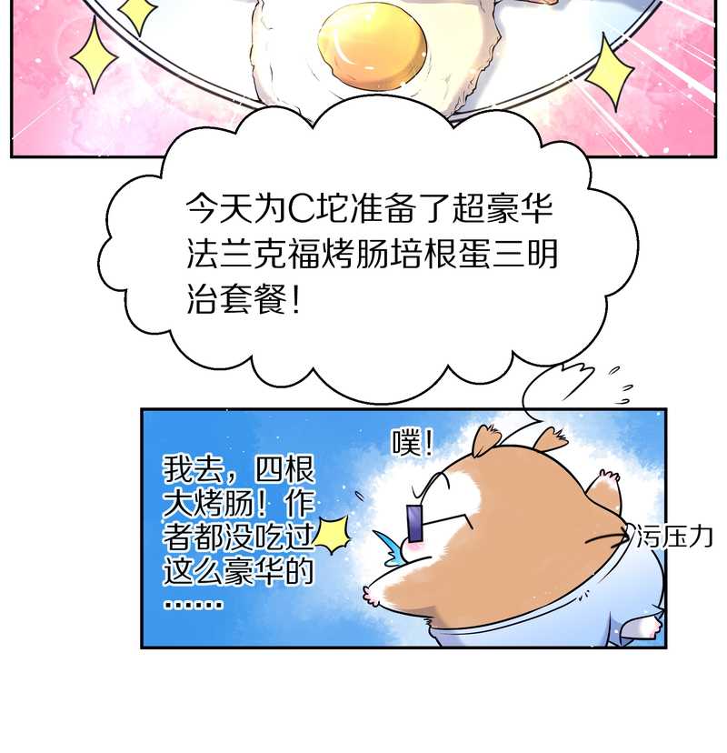 毛球星传说 第68集(1/2)-第68话