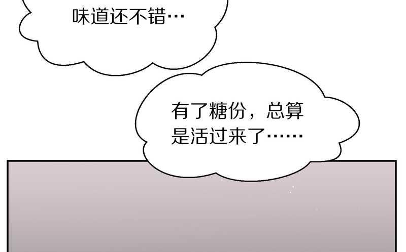 毛球星传说 第68集(1/2)-第68话