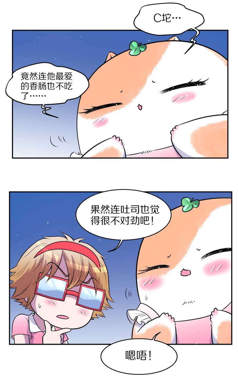 毛球星传说 第68集(1/2)-第68话