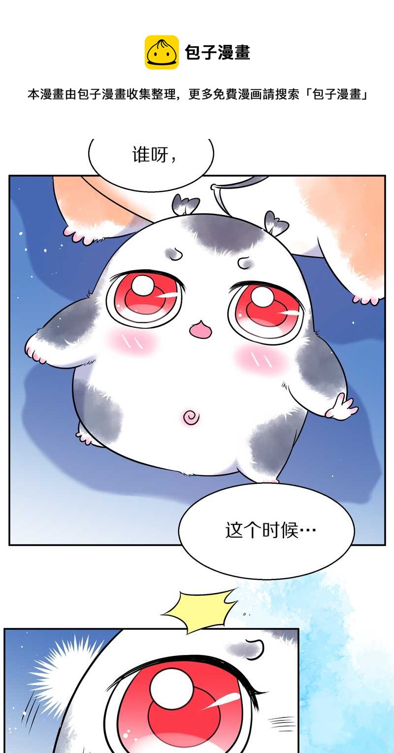 毛球星传说 第68集(1/2)-第68话