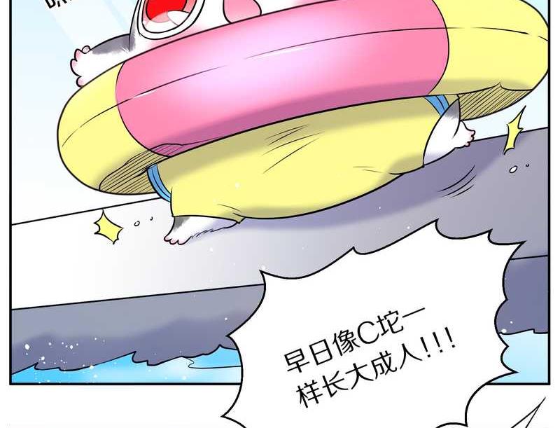 毛球星传说 第70集-第70话