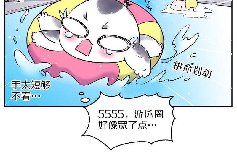 毛球星传说 第70集-第70话