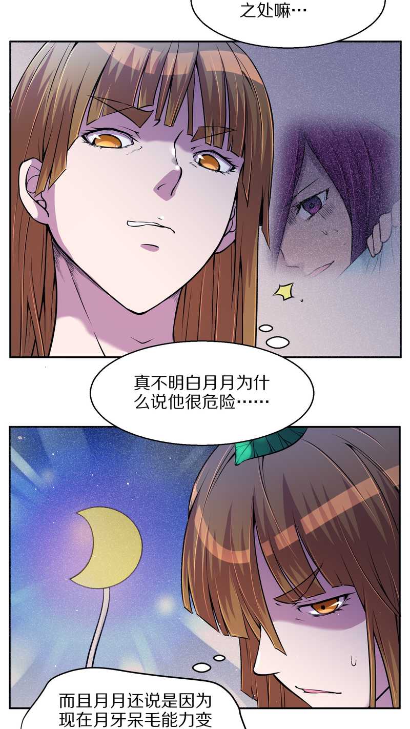 毛球星传说 第70集-第70话
