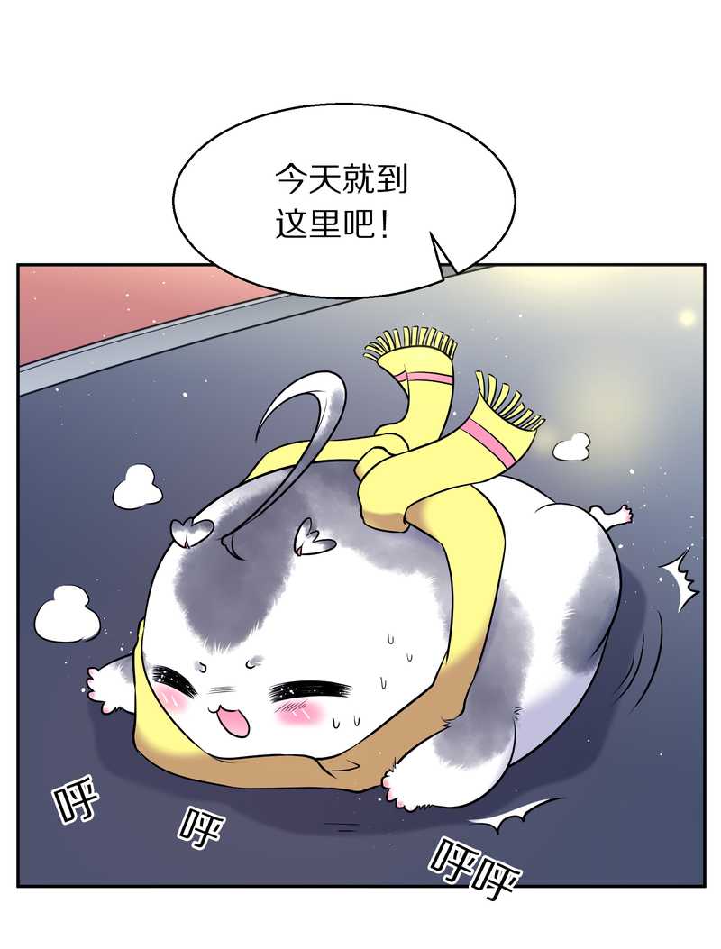 毛球星传说 第70集-第70话