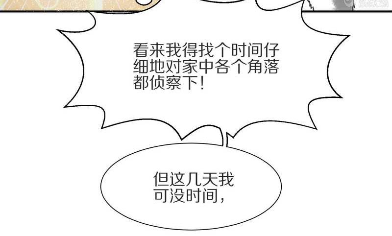 毛球星传说 第8集(1/2)-第8话