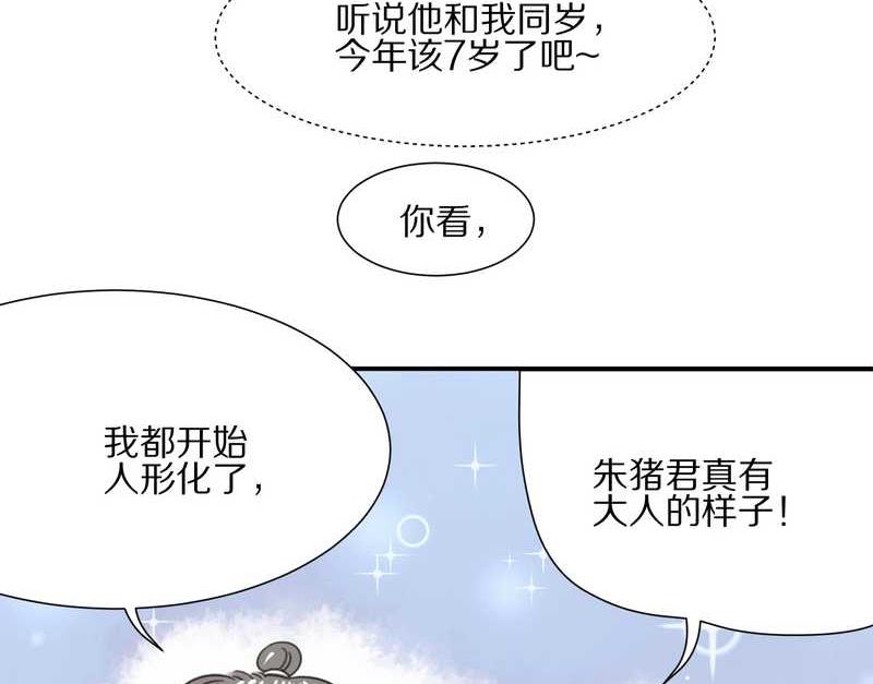 毛球星传说 第8集(1/2)-第8话