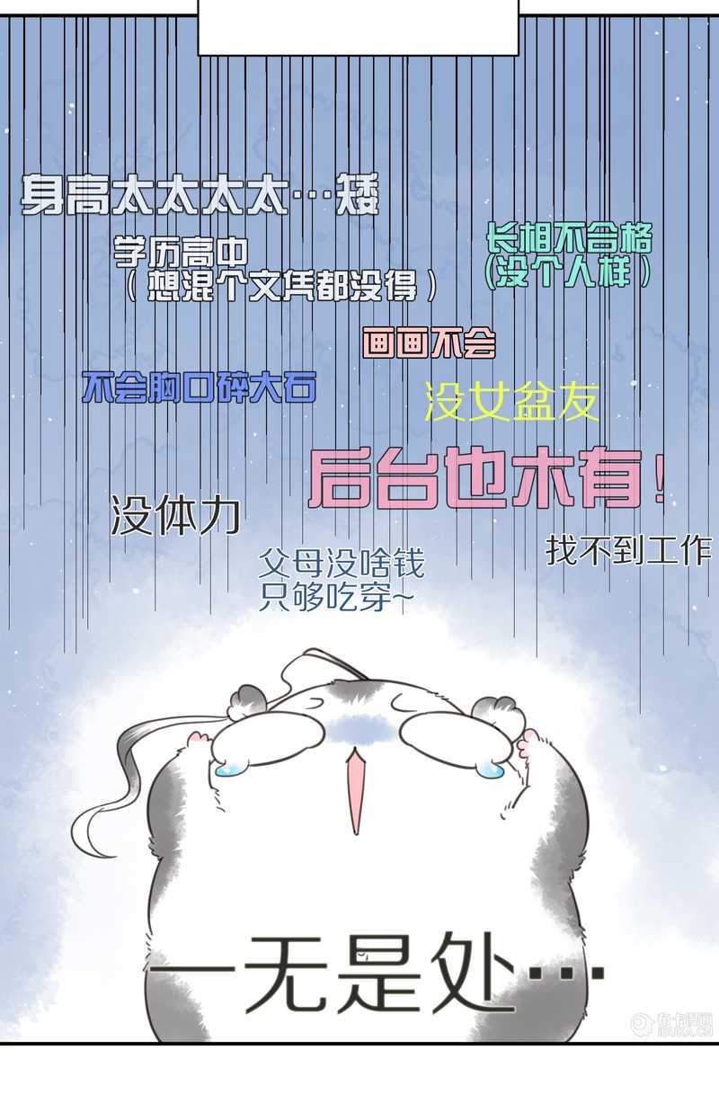毛球星传说 第8集(1/2)-第8话