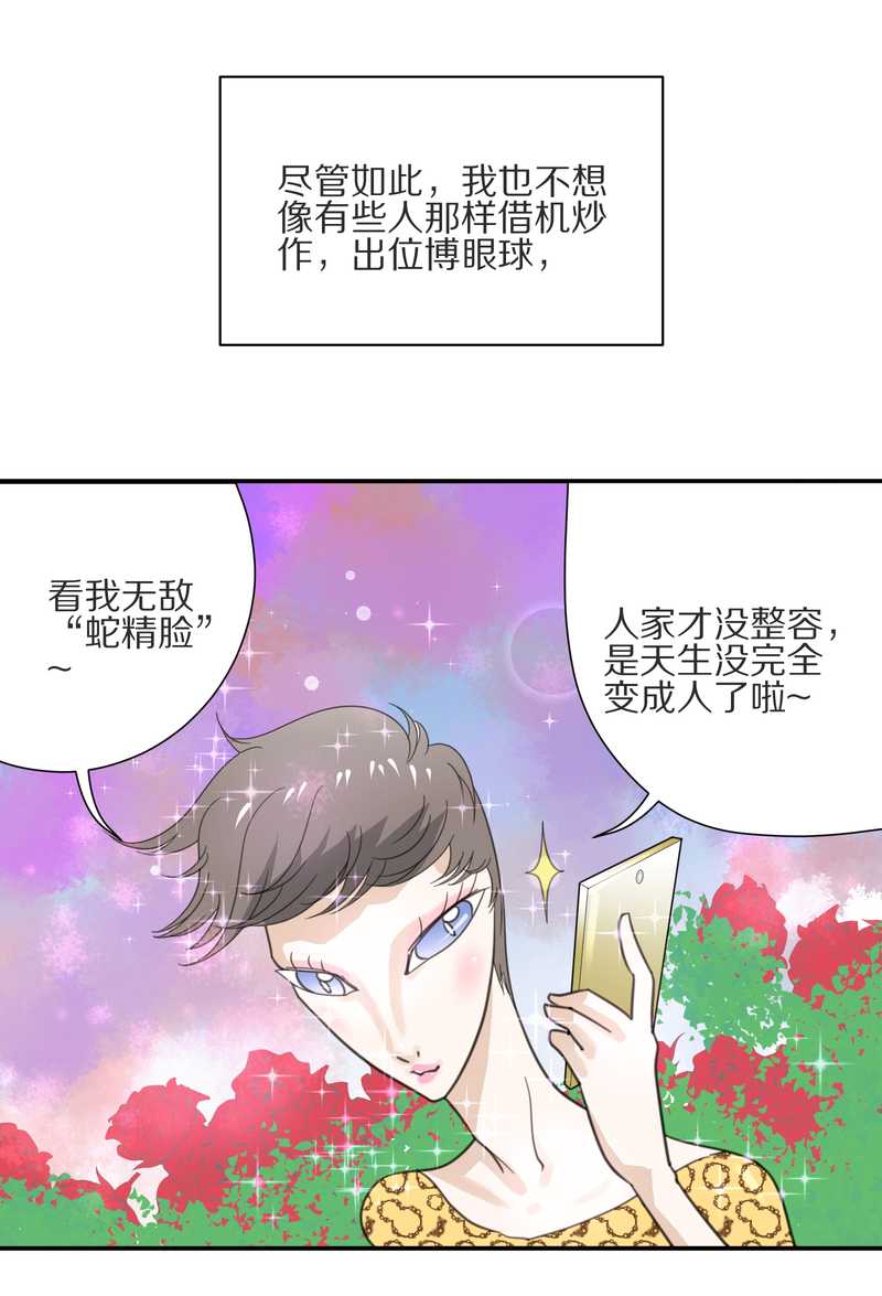 毛球星传说 第8集(1/2)-第8话