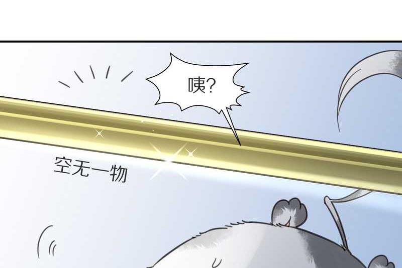 毛球星传说 第8集(1/2)-第8话