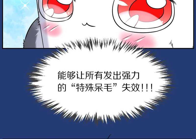 毛球星传说 第72集(1/2)-第72话