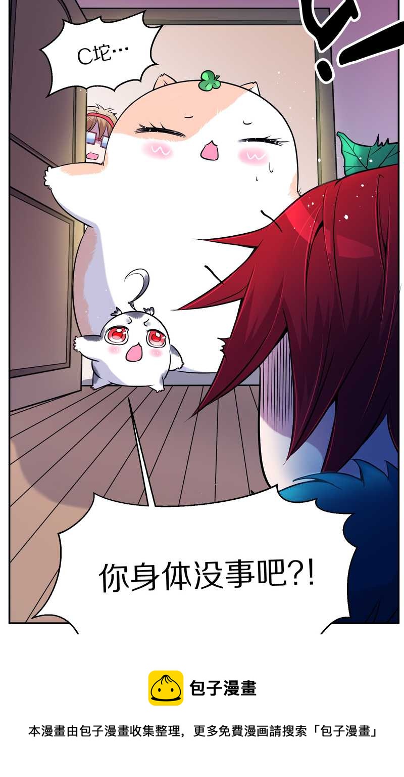 毛球星传说 第72集(1/2)-第72话
