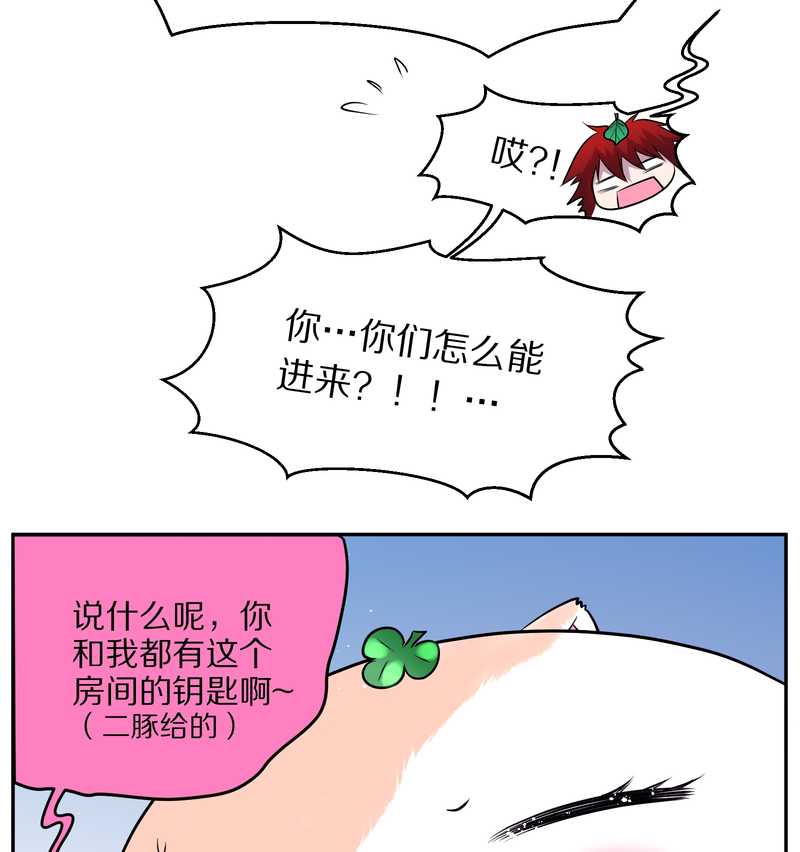 毛球星传说 第72集(1/2)-第72话