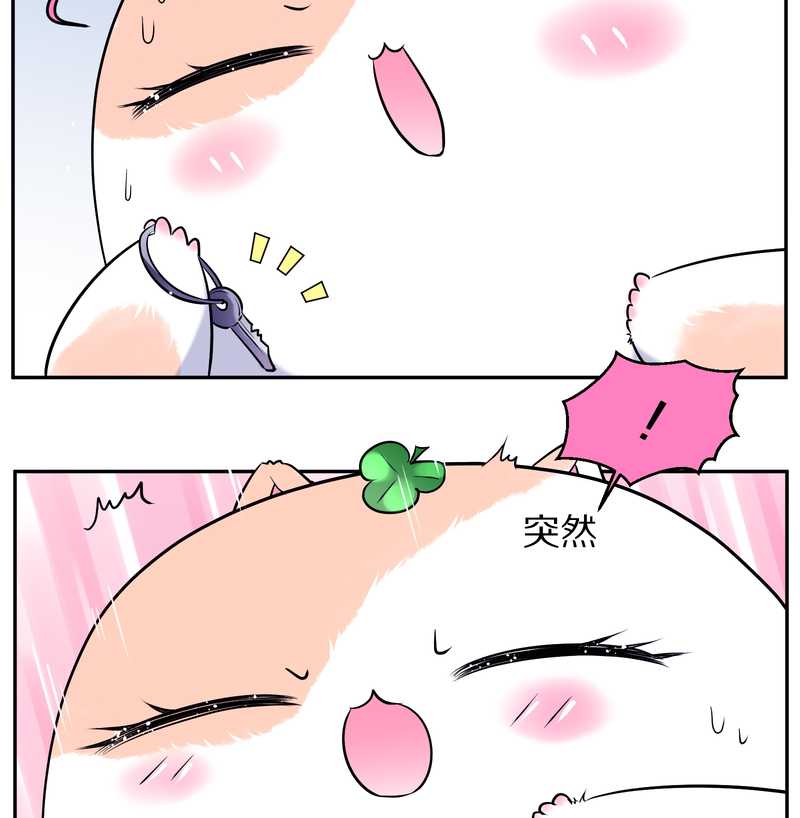 毛球星传说 第72集(1/2)-第72话