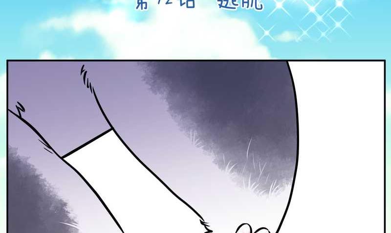 毛球星传说 第72集(1/2)-第72话