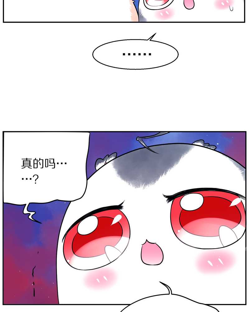 毛球星传说 第72集(1/2)-第72话