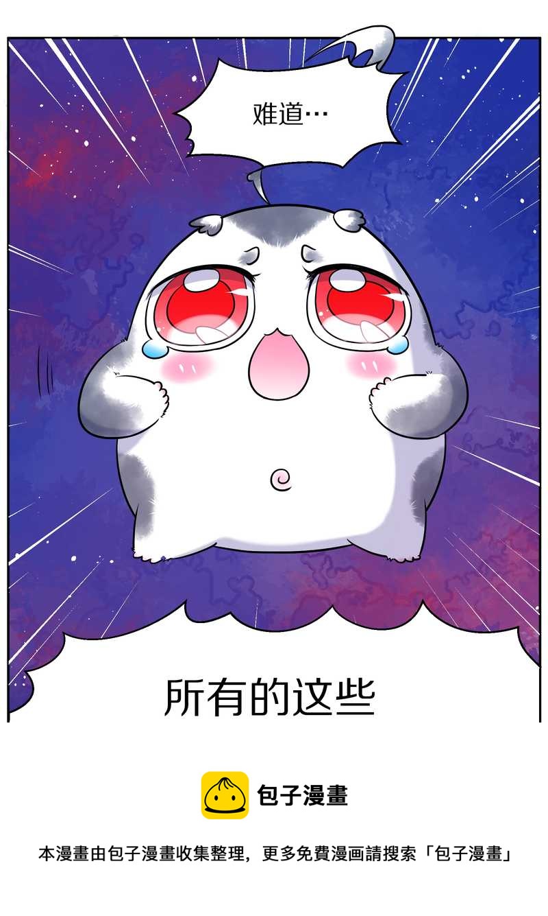 毛球星传说 第72集(1/2)-第72话