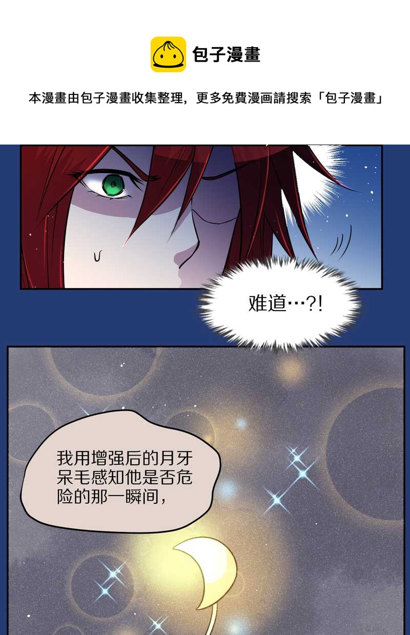 毛球星传说 第72集(1/2)-第72话