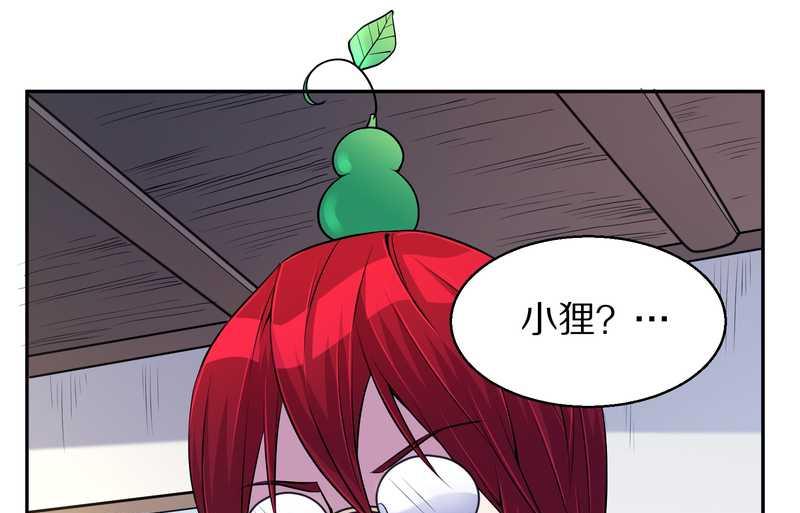 毛球星传说 第74集(1/2)-第74话