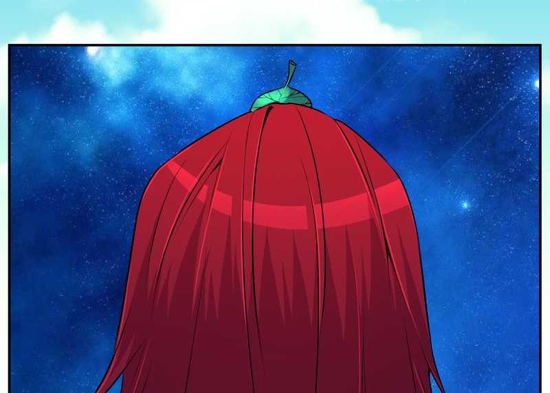毛球星传说 第74集(1/2)-第74话