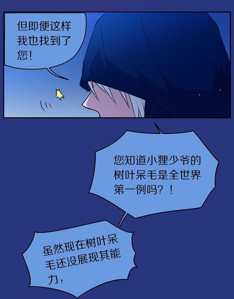 毛球星传说 第74集(1/2)-第74话