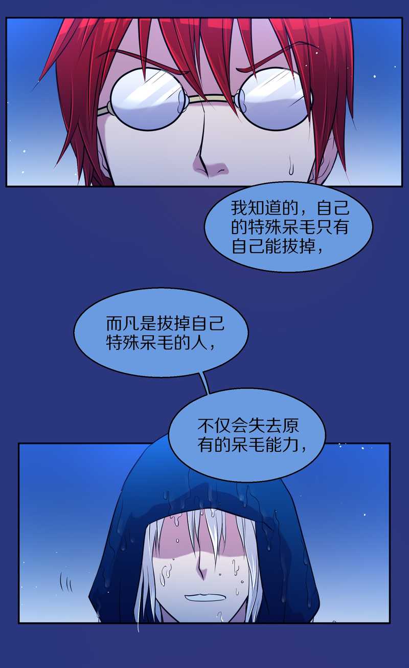 毛球星传说 第74集(1/2)-第74话