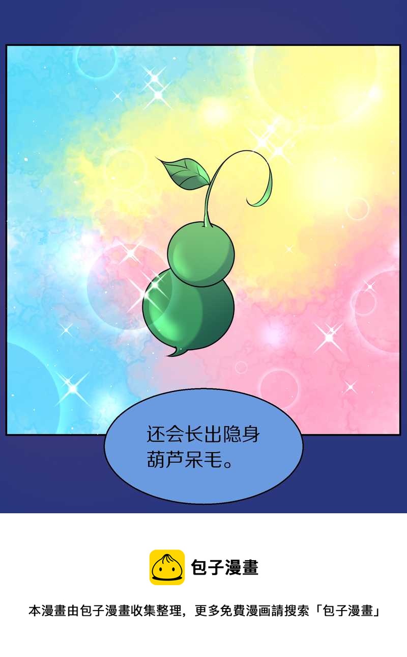 毛球星传说 第74集(1/2)-第74话