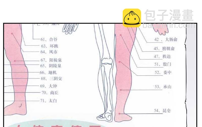 毛球星传说 第74集(1/2)-第74话