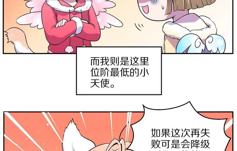 毛球星传说 第76集(1/3)-第76话