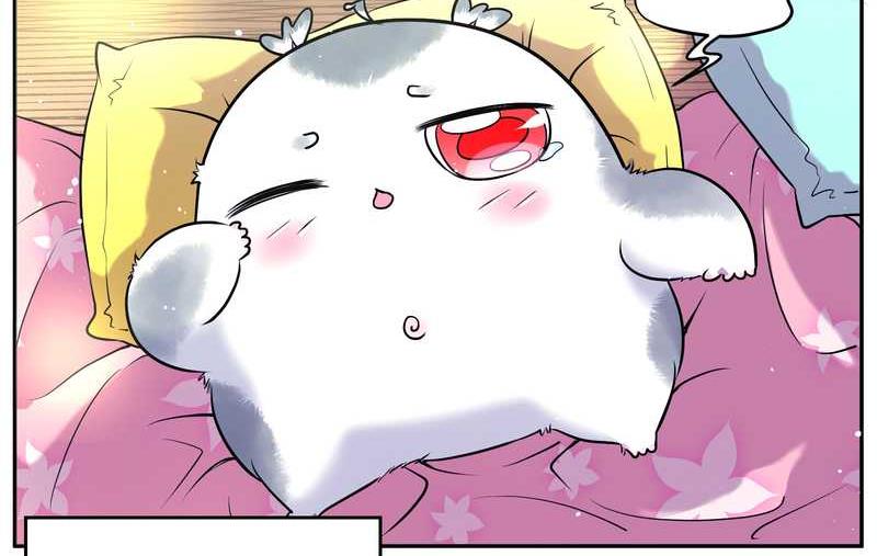 毛球星传说 第76集(1/3)-第76话
