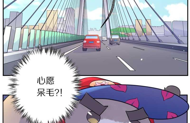 毛球星传说 第76集(1/3)-第76话