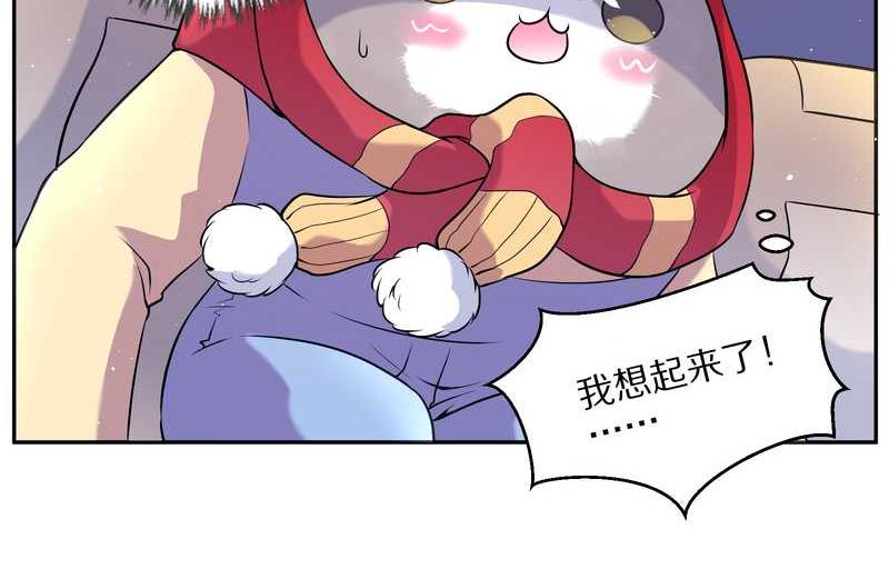 毛球星传说 第76集(1/3)-第76话