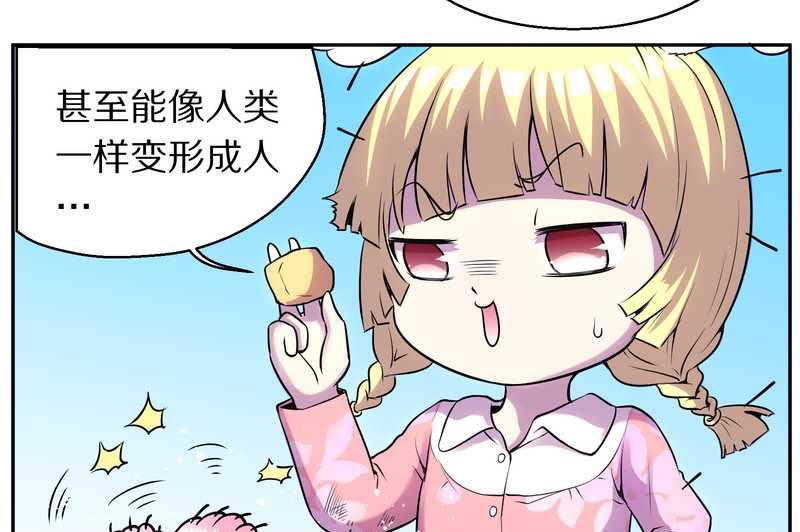 毛球星传说 第80集(1/2)-第80话