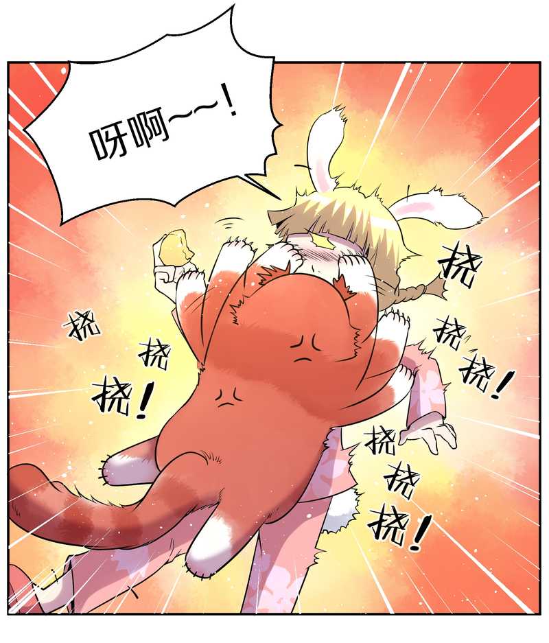 毛球星传说 第80集(1/2)-第80话