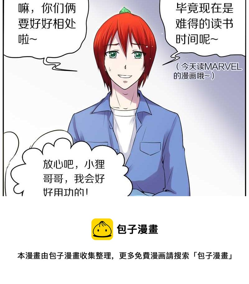 毛球星传说 第80集(1/2)-第80话