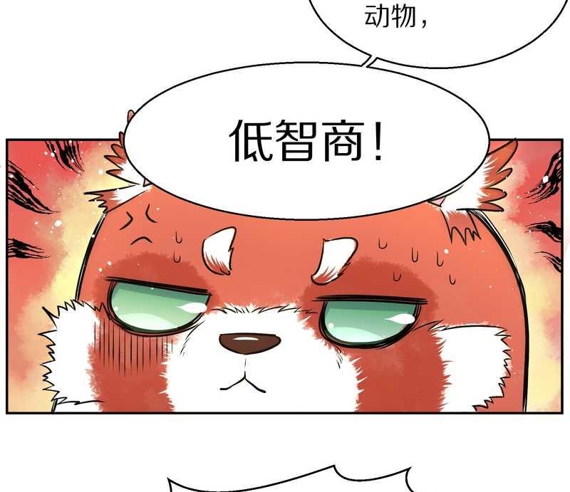 毛球星传说 第80集(1/2)-第80话