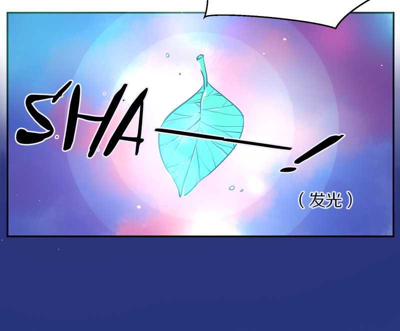 毛球星传说 第80集(1/2)-第80话