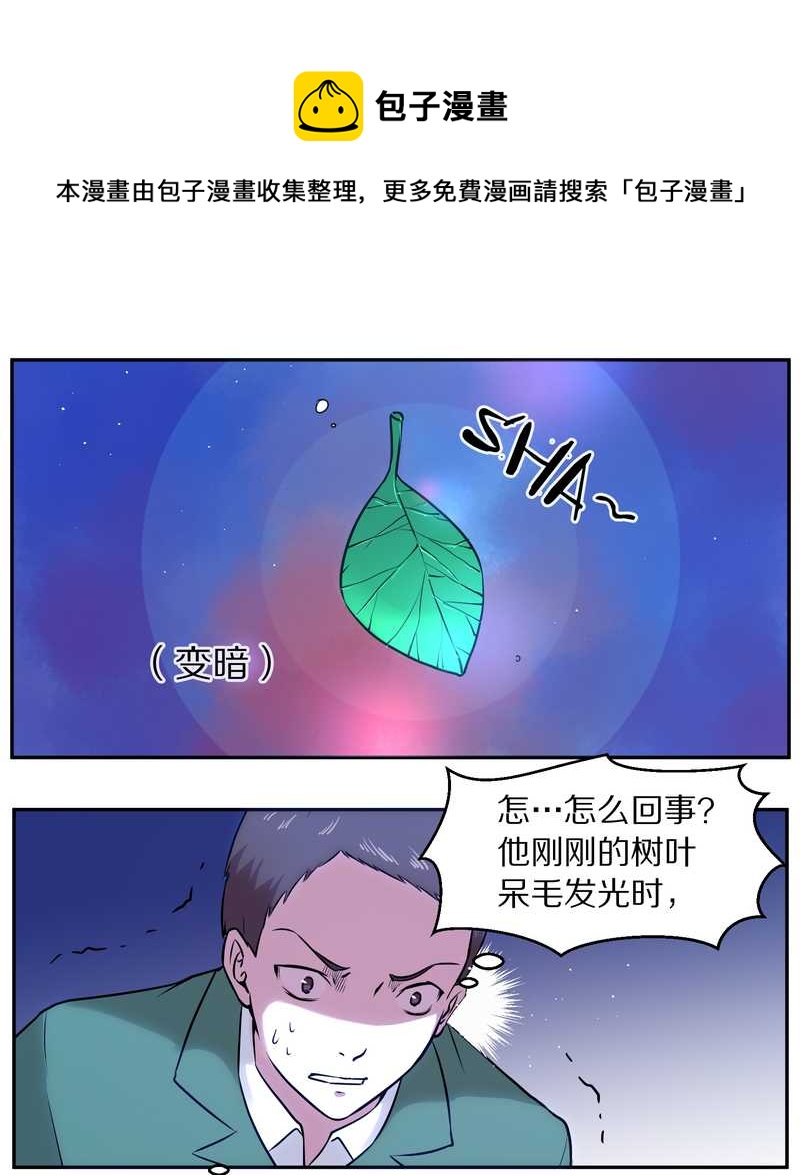 毛球星传说 第80集(1/2)-第80话