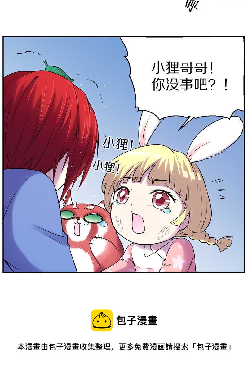毛球星传说 第80集(1/2)-第80话