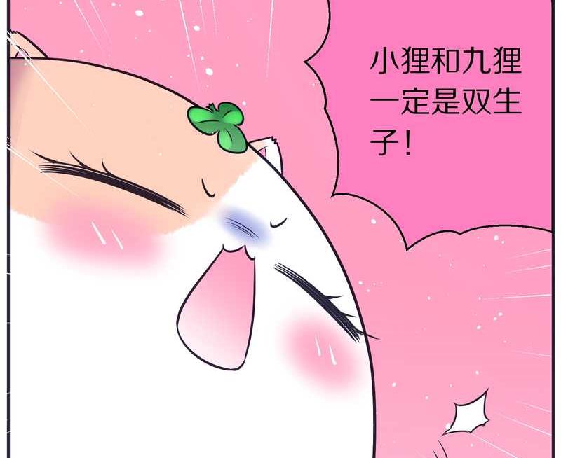 毛球星传说 第82集(1/2)-第82话