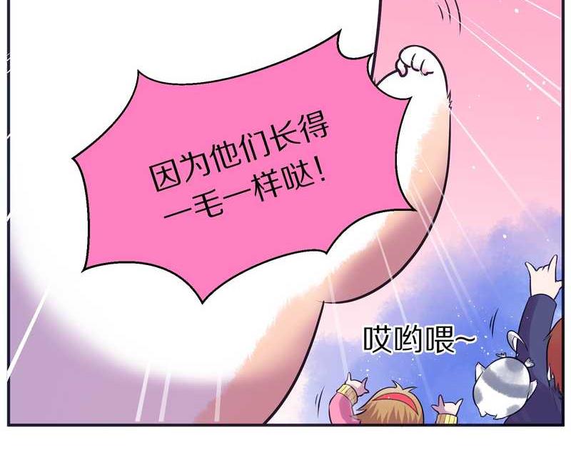 毛球星传说 第82集(1/2)-第82话