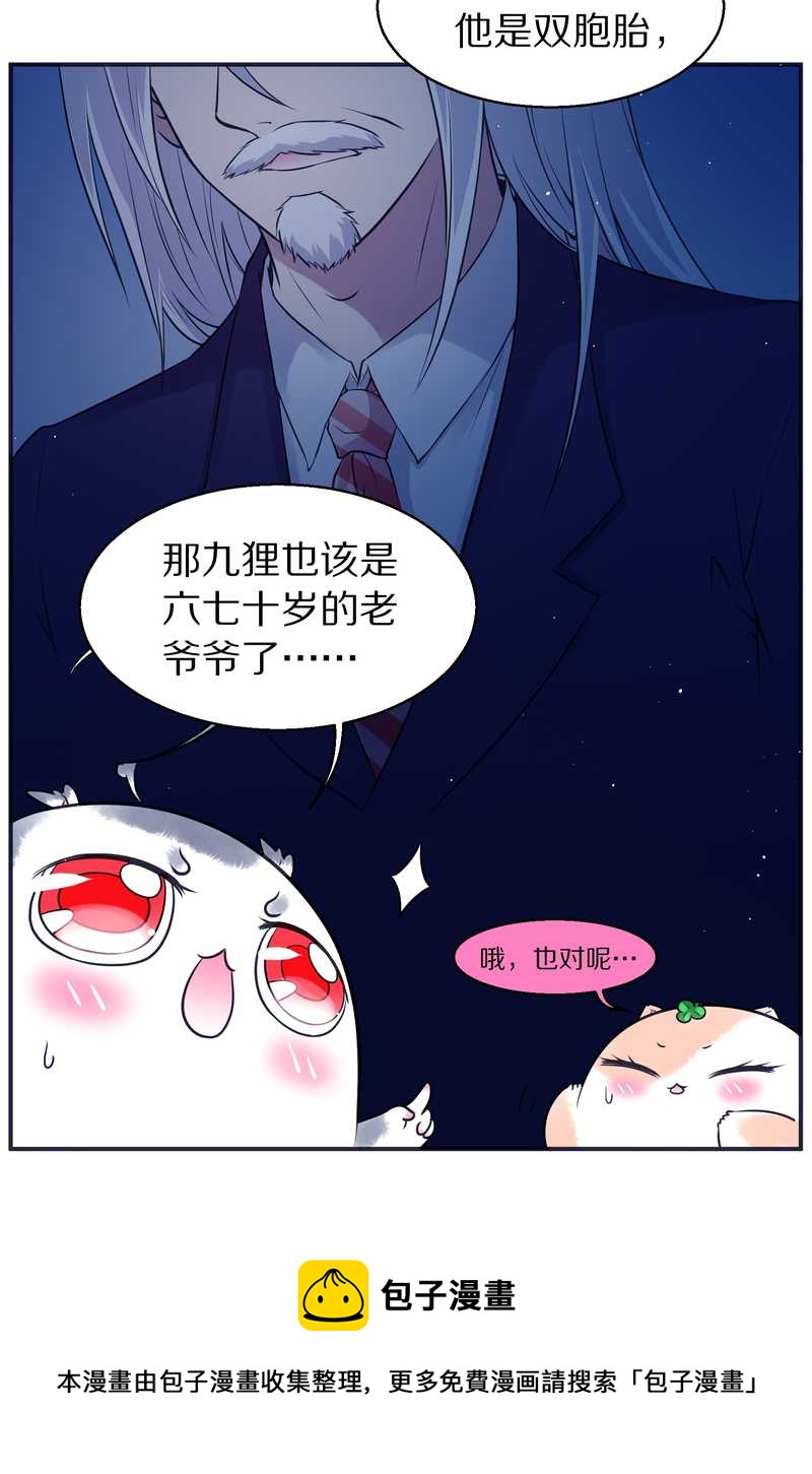 毛球星传说 第82集(1/2)-第82话