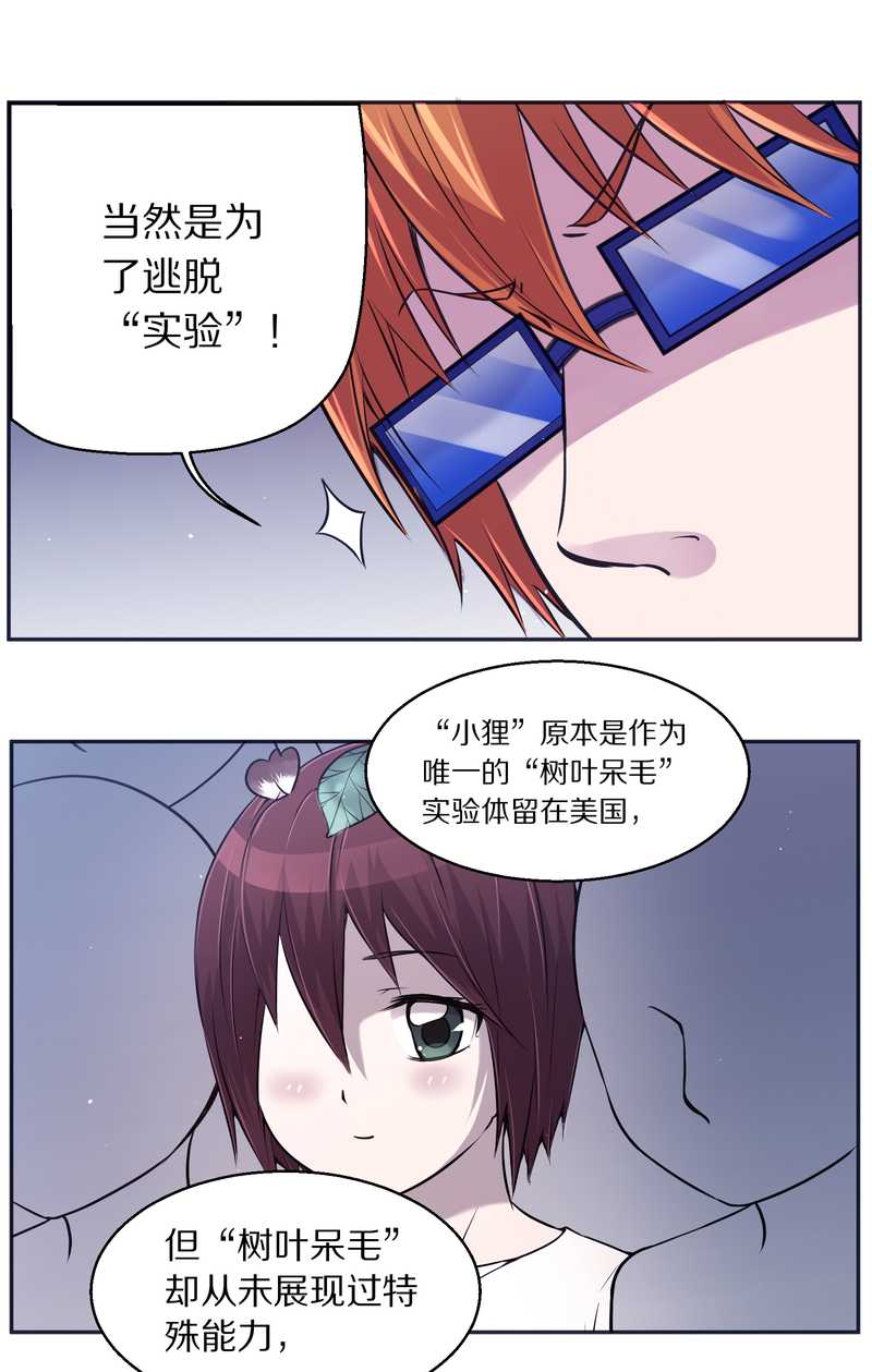 毛球星传说 第82集(1/2)-第82话