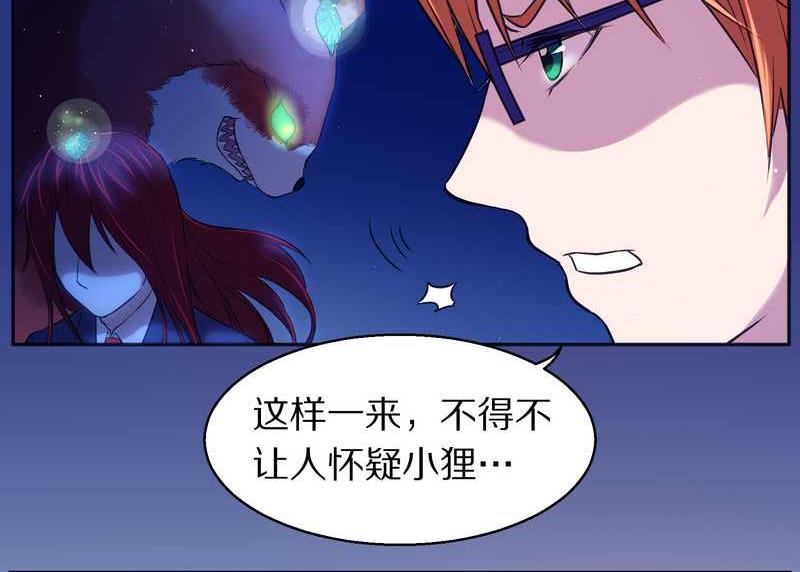 毛球星传说 第82集(1/2)-第82话