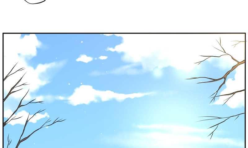 毛球星传说 第84集(1/2)-第84话
