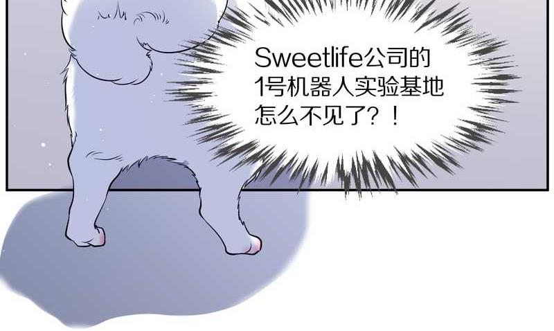 毛球星传说 第84集(1/2)-第84话
