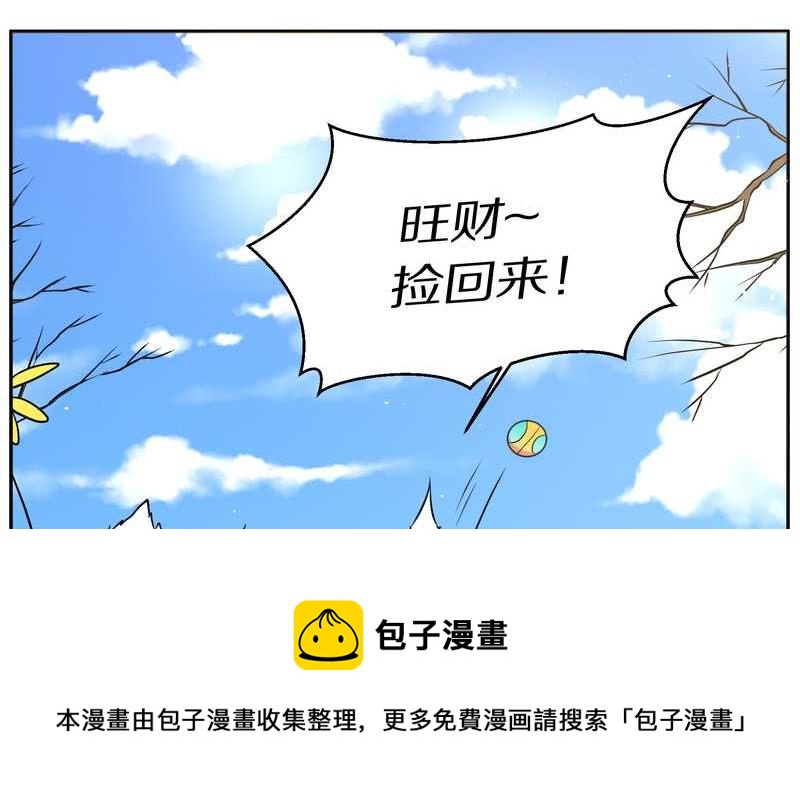 毛球星传说 第84集(1/2)-第84话
