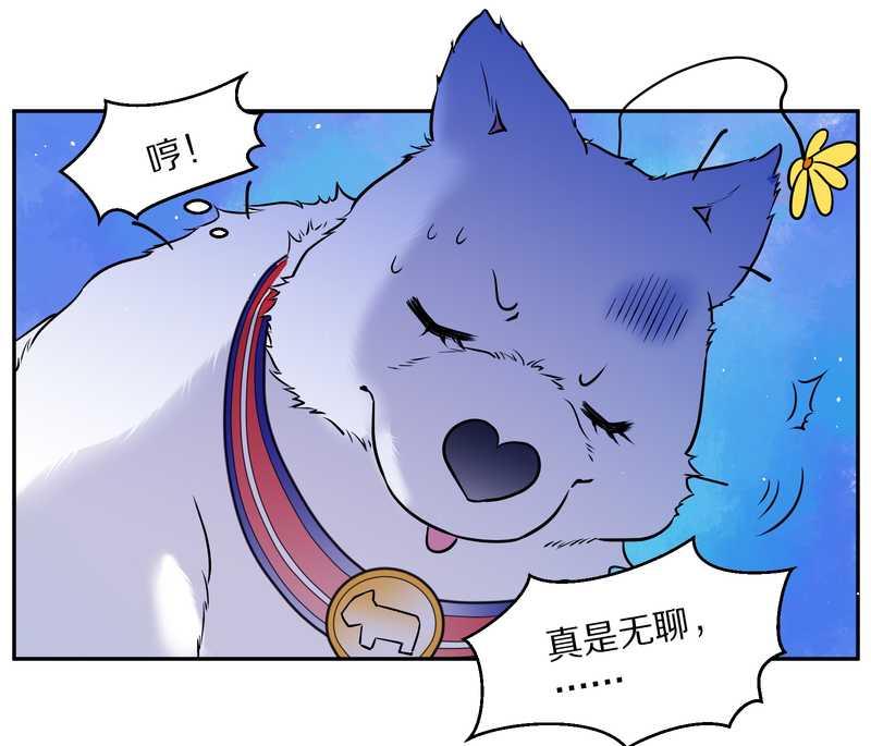 毛球星传说 第84集(1/2)-第84话