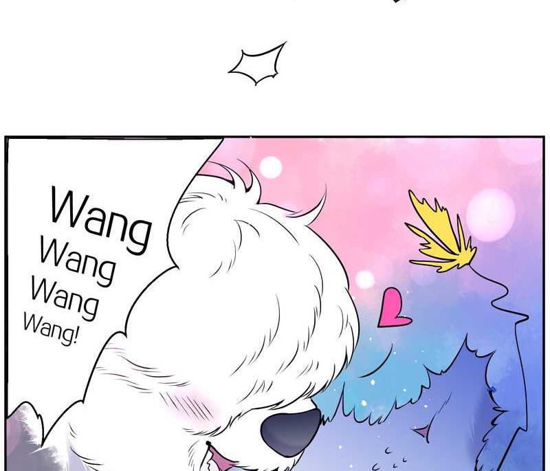 毛球星传说 第84集(1/2)-第84话